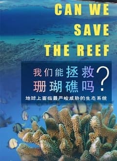 我们能拯救珊瑚礁吗海报