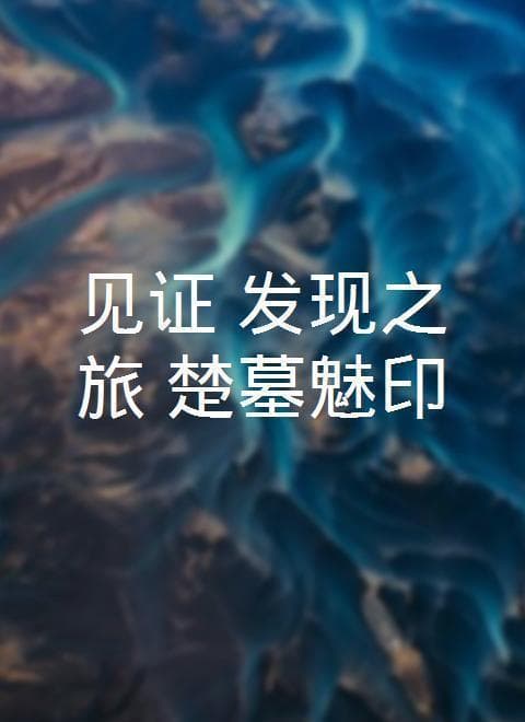 见证·发现之旅:楚墓魅印海报