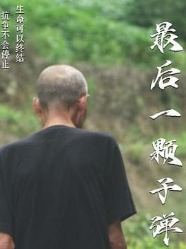 最后一颗子弹海报