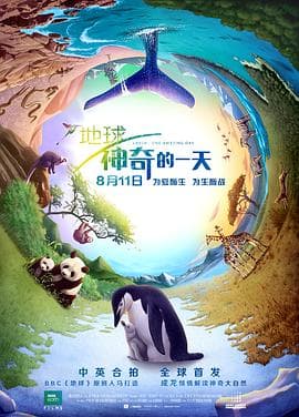 地球:神奇的一天海报