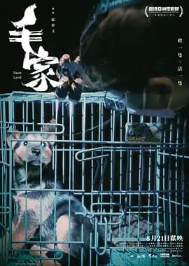 毛家海报