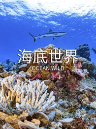 海底世界海报