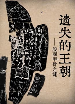 遗失的王朝海报