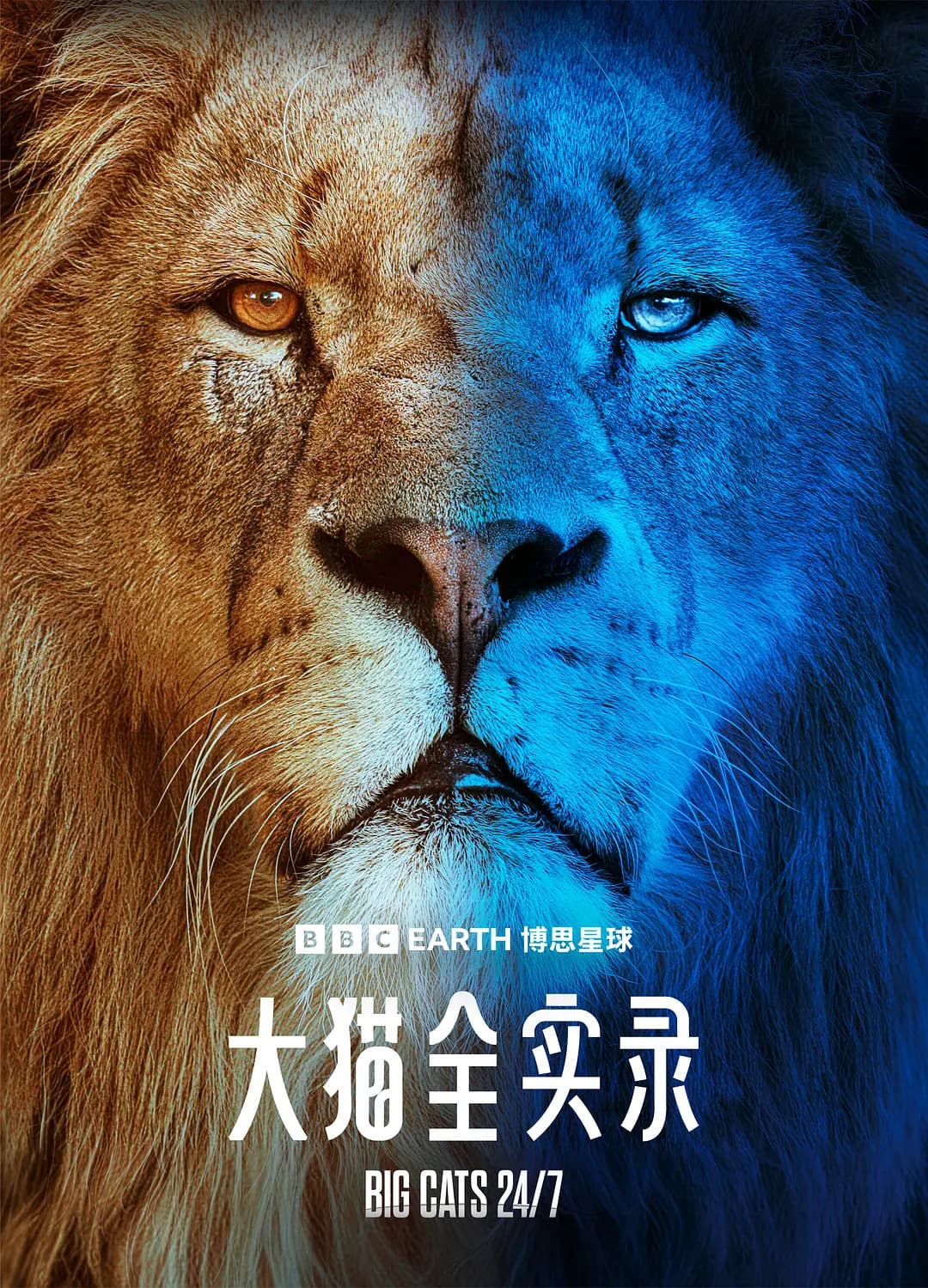 大猫全实录海报