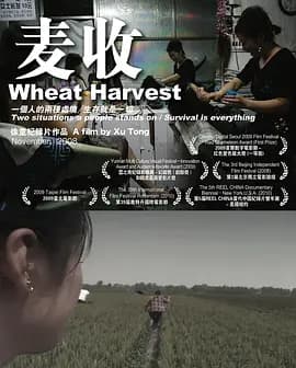 麦收海报