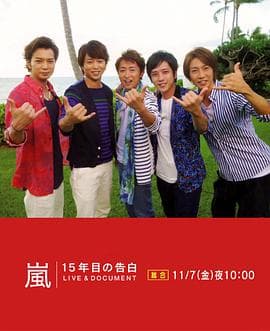 岚:15周年的告白海报