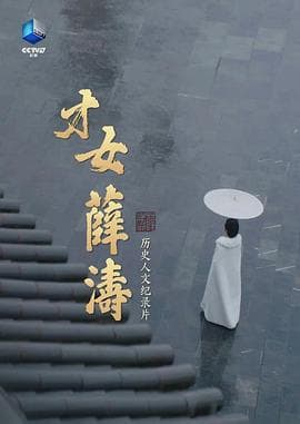 才女薛涛海报