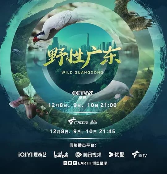 野性广东海报